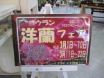 洋ランフェア開催！|「パセリー菜」　（青森県八戸市の花屋）のブログ